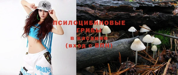 гидропоника Алексеевка